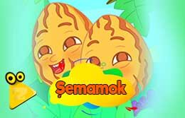 semamok_2d