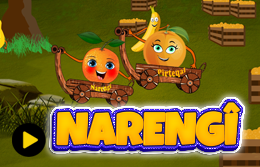 NARENGI.png