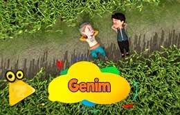 genim-260x167.jpg
