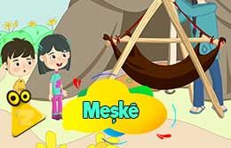 meske_2d-260x167.jpg