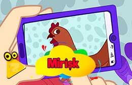 mirisk_2d-260x167.jpg