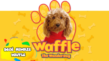 وافل سەگی سەرسوڕهێنەر